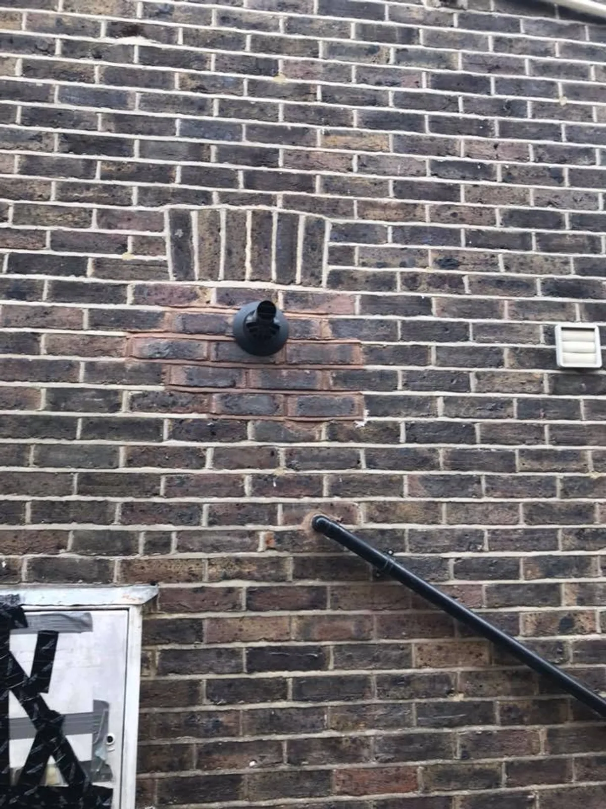 woman in black shirt holding green and blue plastic toy